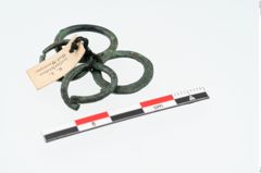Foto von Bronzering (NHMW-PRAE-025471)